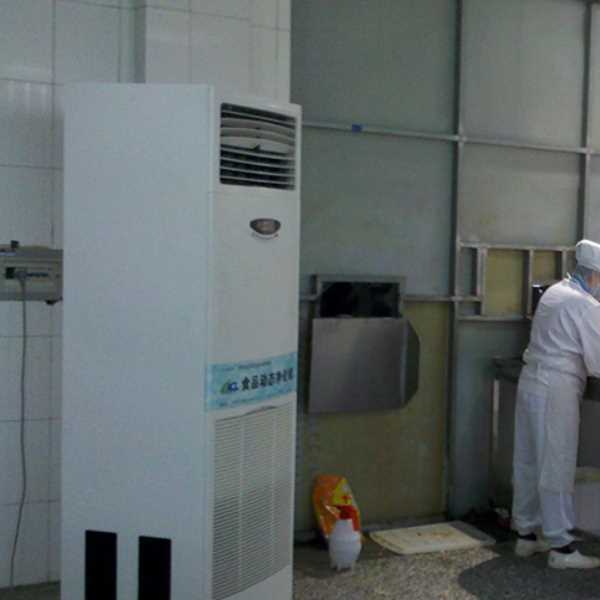 保亭食品正负离子空气杀菌器